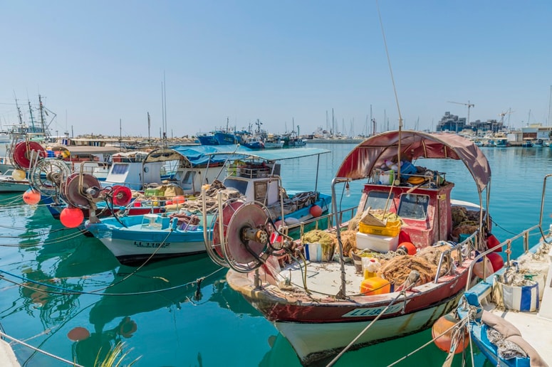 Za mesto Limasol se je zaradi velike koncentracije ruskega prebivalstva in kapitala prijelo celo neuradno ime "Moskva na Sredozemlju".