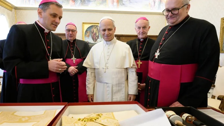 Škofi pri papežu v Rimu