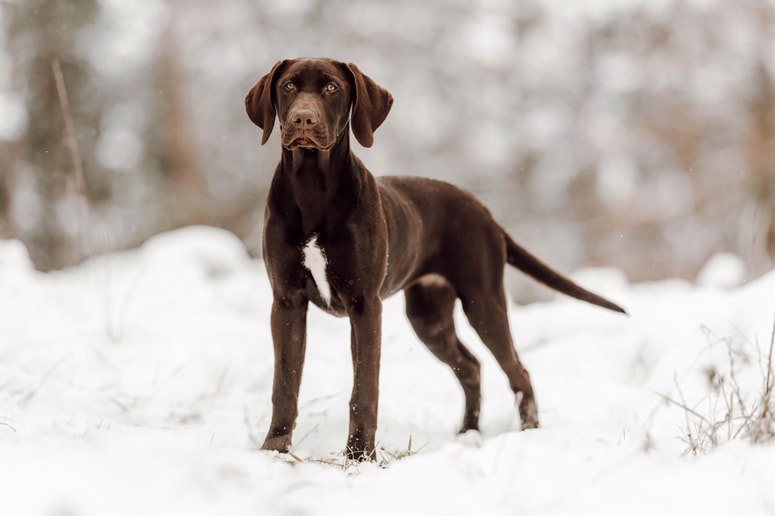 Fotografija je simbolična. 