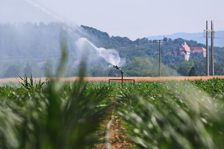 Kmetijstvo brez namakanja ne bo več mogoče. Na ravni države v prihodnje napovedujejo več investicij na tem področju. 