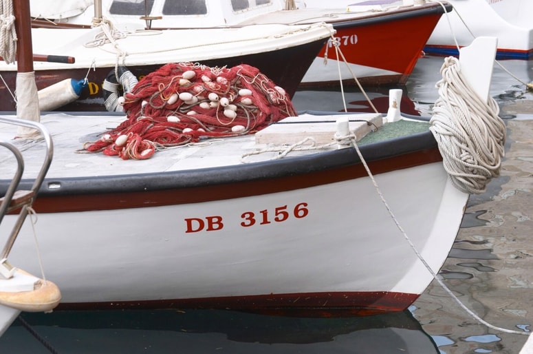 Glavna fotografija članka:(VIDEO) Ribiči posneli visoke valove "mrtvega morja" na južnem Jadranu. Kaj pomenijo in od kod prihajajo?