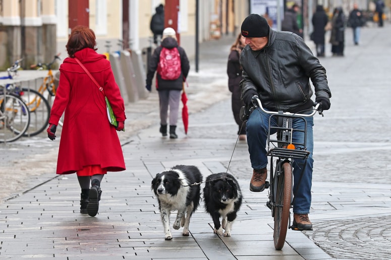 Fotografija je simbolična.