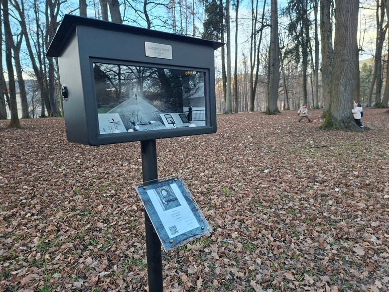 V ravenskem grajskem parku na ogled fotografije Karoline Vugrinec  