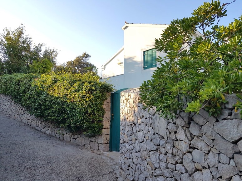 Zadnja leta je v porastu raba različnih vednozelenih sredozemskih grmovnic, saj jih vse več dobro prezimi tudi daleč stran od morja. 