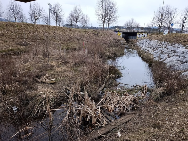Nova, a zanemarjena, zaštopana, neočiščena struga ...