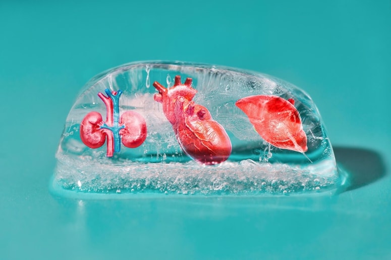 Fotografija je ilustrativna. 