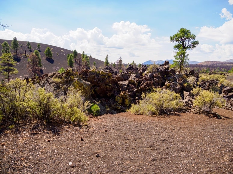 Odročen kraj, kjer je naključni sprehajalec odkril truplo umorjene Sashe Krause. 