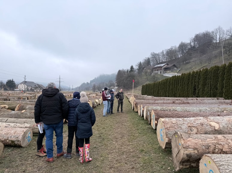 Na jubilejno licitacijo je skupno 6050 hlodov pripeljalo 554 lastnikov, kupcev je bilo 56. 