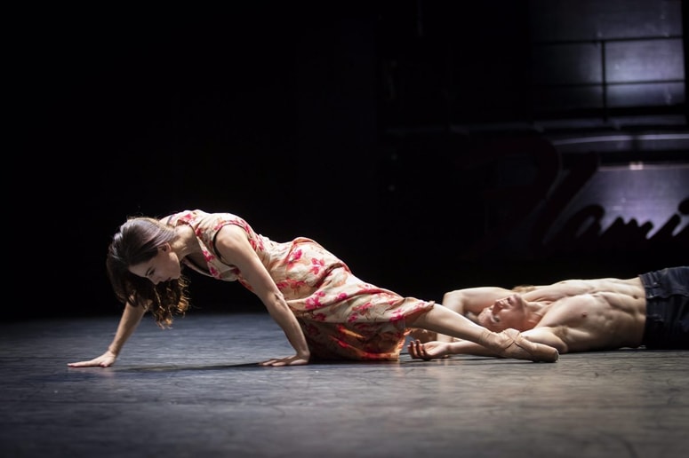 "Valentina Turcu ne postavlja vprašanja, ali je Blanche kriva ali nedolžna. Sprašuje se, kaj se zgodi, ko družba ne prenese kompleksnosti." 