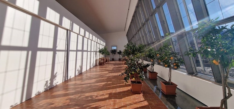 Prenovljena oranžerija stoji v parku dvorca, na severovzhodni strani parka.