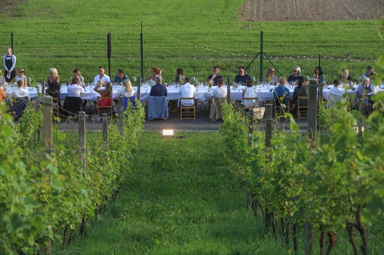 Glavna fotografija članka:Štajerska se predstavlja v Valladolidu: Samozavestno na evropski vinski zemljevid