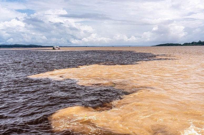 Rio Negro je skoraj črna zaradi organskih snovi iz gozdov, Rio Solimões pa svetlo rjava zaradi sedimentov iz Andov.
