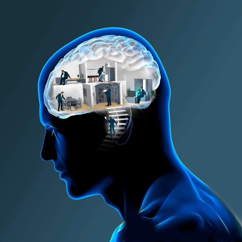 Če lahko še vedno brez težav odrapate pesem iz devetdesetih, a včasih pozabite, zakaj ste šli po stopnicah, vas možgani ne izdajajo, ampak preprosto dajejo prednost globoko utrjenim, čustveno zaznamovanim informacijam pred bežnimi namerami. 