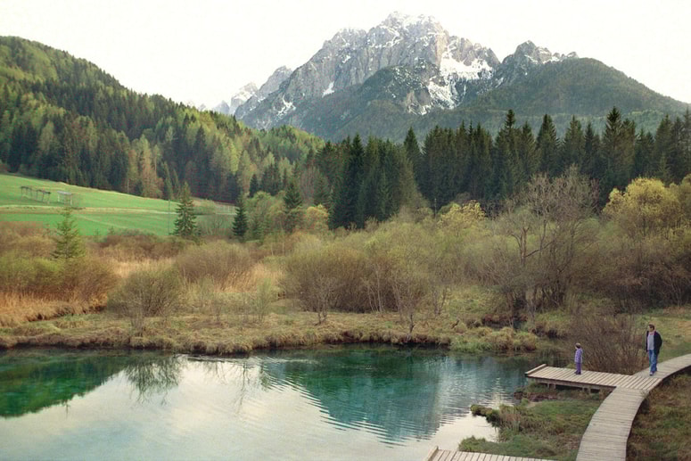 Glavna fotografija članka:(KOMENTAR) Fekalije in zahvala EU