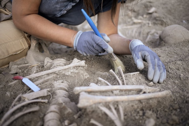 Fotografija je simbolična. 