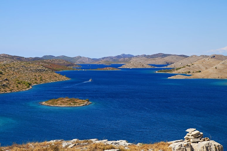 V severnem Jadranu trenutno živijo štiri vrste, ki jih v preostalem Mediteranu sploh ni. Fotografija je simbolična. 