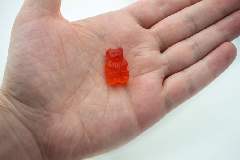 Fotografija je simbolična. 