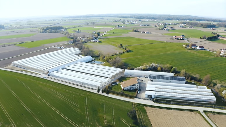 Rastlinjaki iz neba.