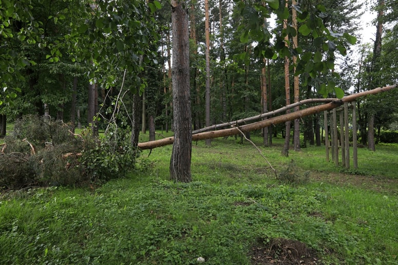 Fotografija je simbolična. 