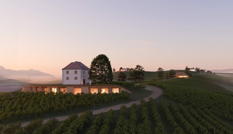 Načrt zajema več kot 20 hektarjev vinogradniškega območja, pri čemer bo večina površin tudi v prihodnje namenjena vinogradništvu. S tem želijo ohraniti značilno kulturno krajino, ki daje prostoru prepoznavno identiteto.