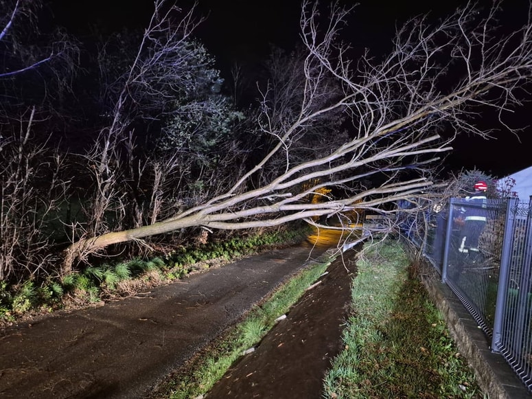 Glavna fotografija članka:Zaradi vetra danes več kot 800 intervencij