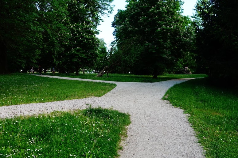 Pri upravljanju parka sodelujejo z več strokovnimi institucijami, med drugim z Zavodom RS za varstvo narave, Zavodom za varstvo kulturne dediščine ter certificirano arboristko. 