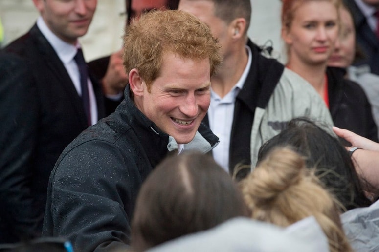 Po navedbah iz sodnih dokumentov naj bi Harry novinarko prvi kontaktiral s sporočilom, v katerem se je predstavil kot "H".