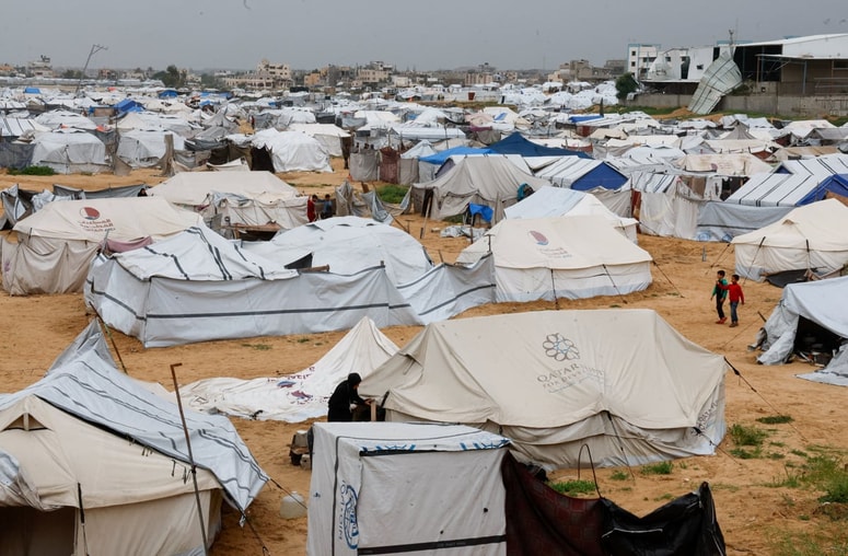 Glavna fotografija članka:(Fenomeni) Kolumna Svetlane Slapšak: Navada je železna srajca