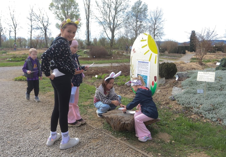Glavna fotografija članka:(FOTO) Velikonočni lov med magnolijami: V botaničnem vrtu so praznike znova spremenili v družinsko dogodivščino