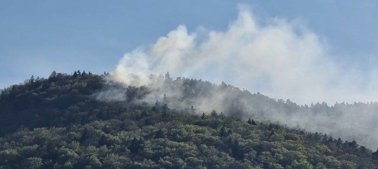 Glavna fotografija članka:(FOTO) Gozdni požar na Hočkem Pohorju, intervencija še poteka
