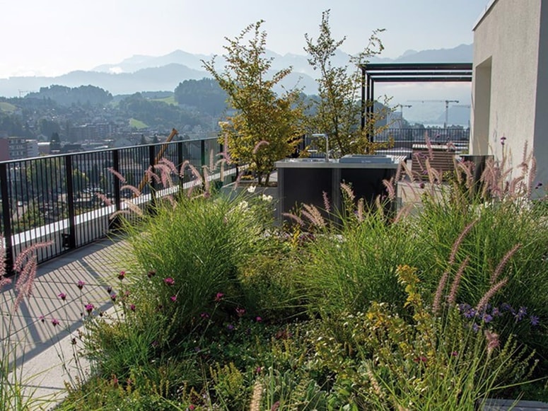 Intenzivna ozelenitev z zelnatimi trajnicami, ki obogati bivanje visoko nad tlemi.