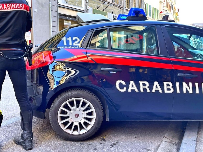 Državno tožilstvo v Catanzaru in tamkajšnja mobilna policijska enota vodita preiskavo, pri čemer dogodek obravnavata kot umor in samomor.