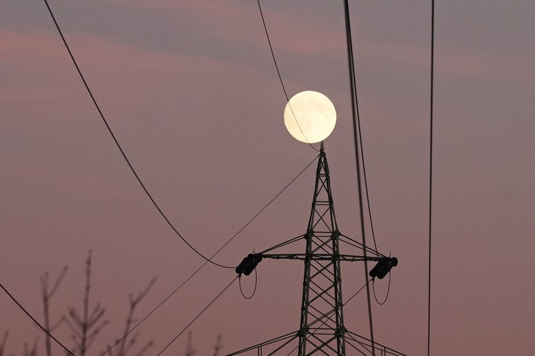 S kovinsko palico sta poskušala doseči lovskega goloba na daljnovodu.