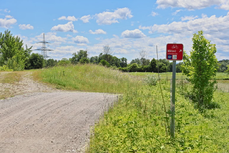 Dravska kolesarska pot med Miklavžem in Dogošami 