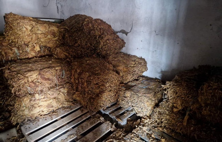 Glavna fotografija članka:(FOTO) Policija aretirala 66-letnika, ki je v kombiju prevažal več kot pol tone tobaka