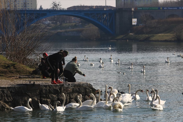 Glavna fotografija članka:Vas je zjutraj zeblo? Temperature bi znale že do nedelje zlesti konkretno nad 20 stopinj