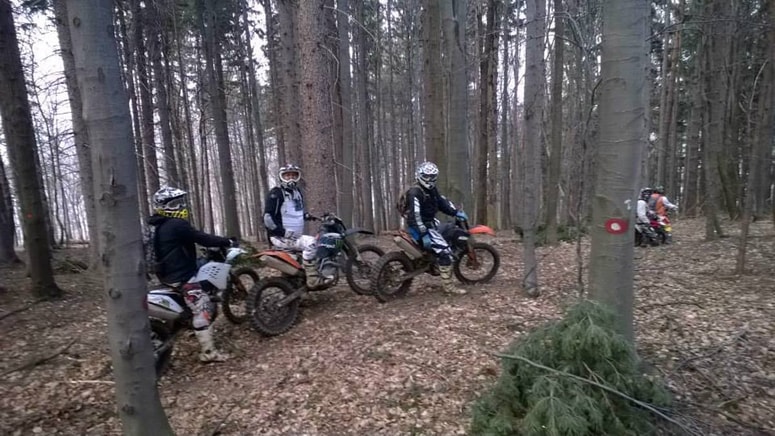 Glavna fotografija članka:Pohorje pod udarom kršiteljev: 31 ukrepov in 10 glob zaradi škodovanja naravi