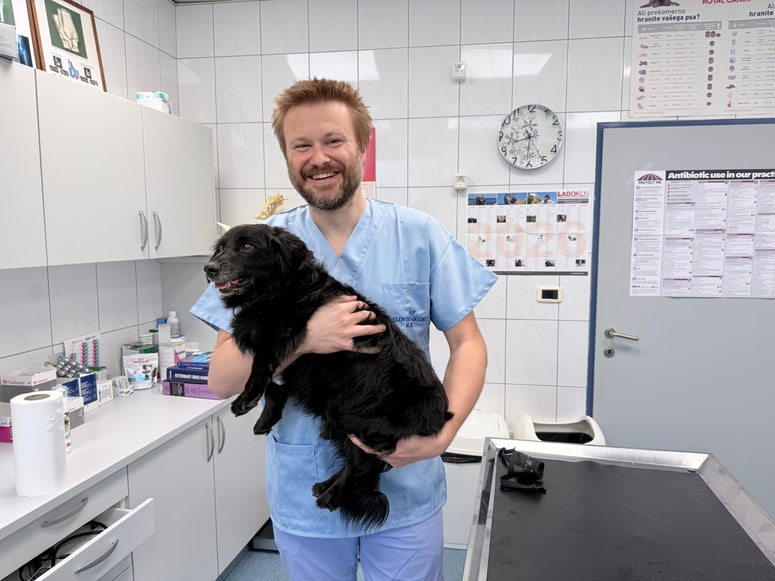 Veterinar Martin Kovše: "Ključna zmota je, da gre le za delo z živalmi, v resnici pa moraš znati vzpostaviti razumevanje tako z živaljo kot z njenim lastnikom, kar je ena najpomembnejših veščin tega poklica."