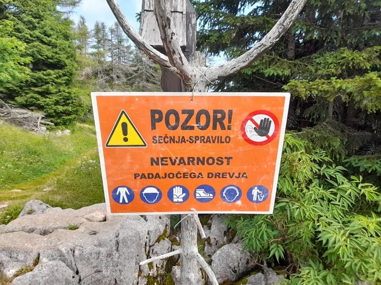 Fotografija je simbolična. Območje del oziroma nesreče naj bi sicer imelo opozorilo o delih v gozdu.