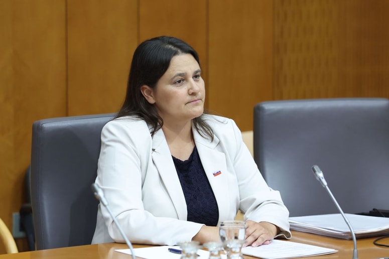 Glavna fotografija članka:Suzana Lep Šimenko prepričala pristojno komisijo DZ