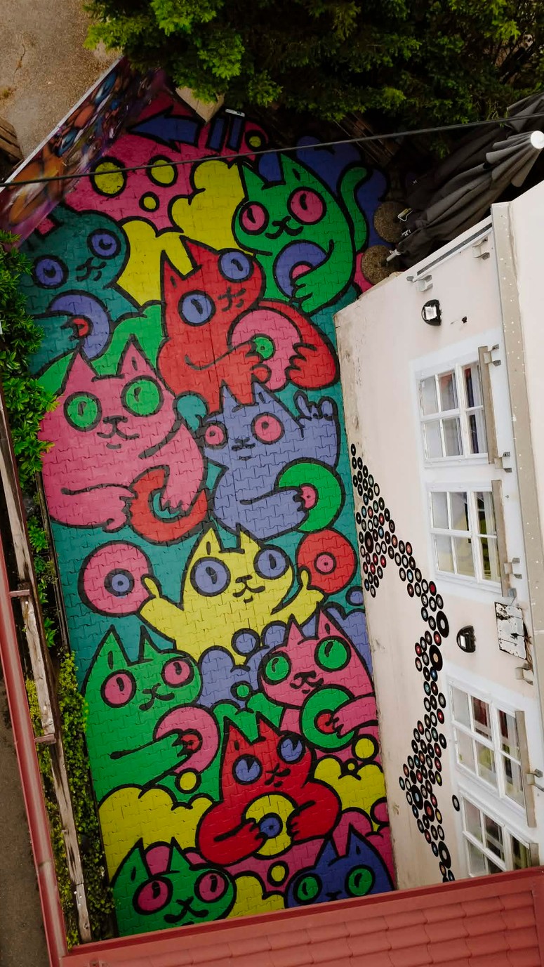 Ne le Zagreb, tudi Maribor ima mačke. 