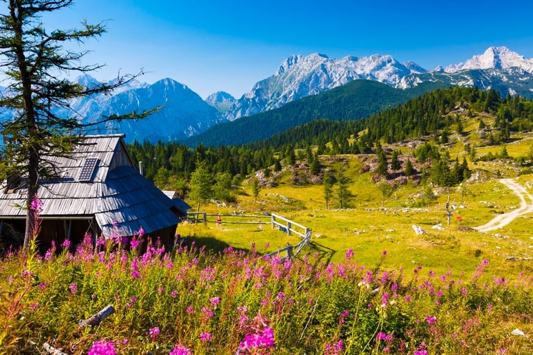 Velika planina se zdi kot prizor iz čudovitih sanj. 