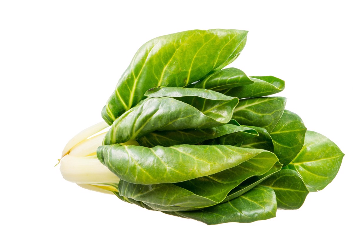 Kaj na vrtu sejemo in sadimo poleti?