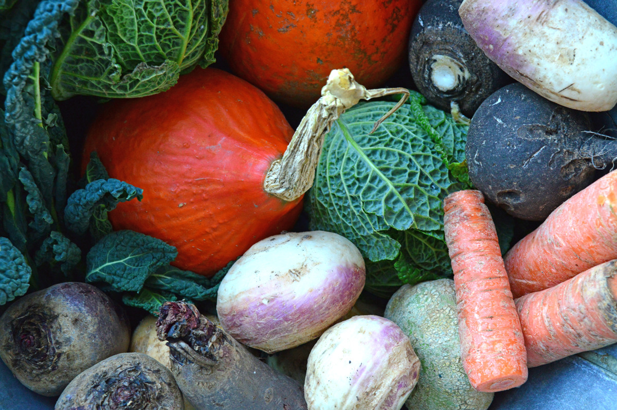 Korenovke in gomoljnice, zimski vir mineralov in vitaminov