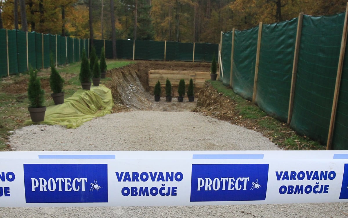 Vsi mrtvi iz Hude jame so pokopani na mariborski Dobravi