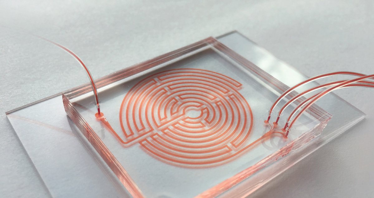 To je labirint za rakave celice