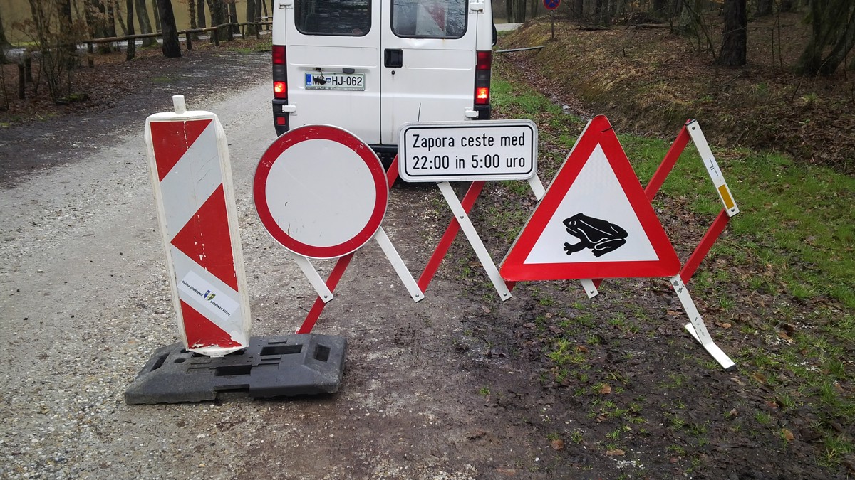 Žabe zaprle cesto ob Bukovniškem jezeru