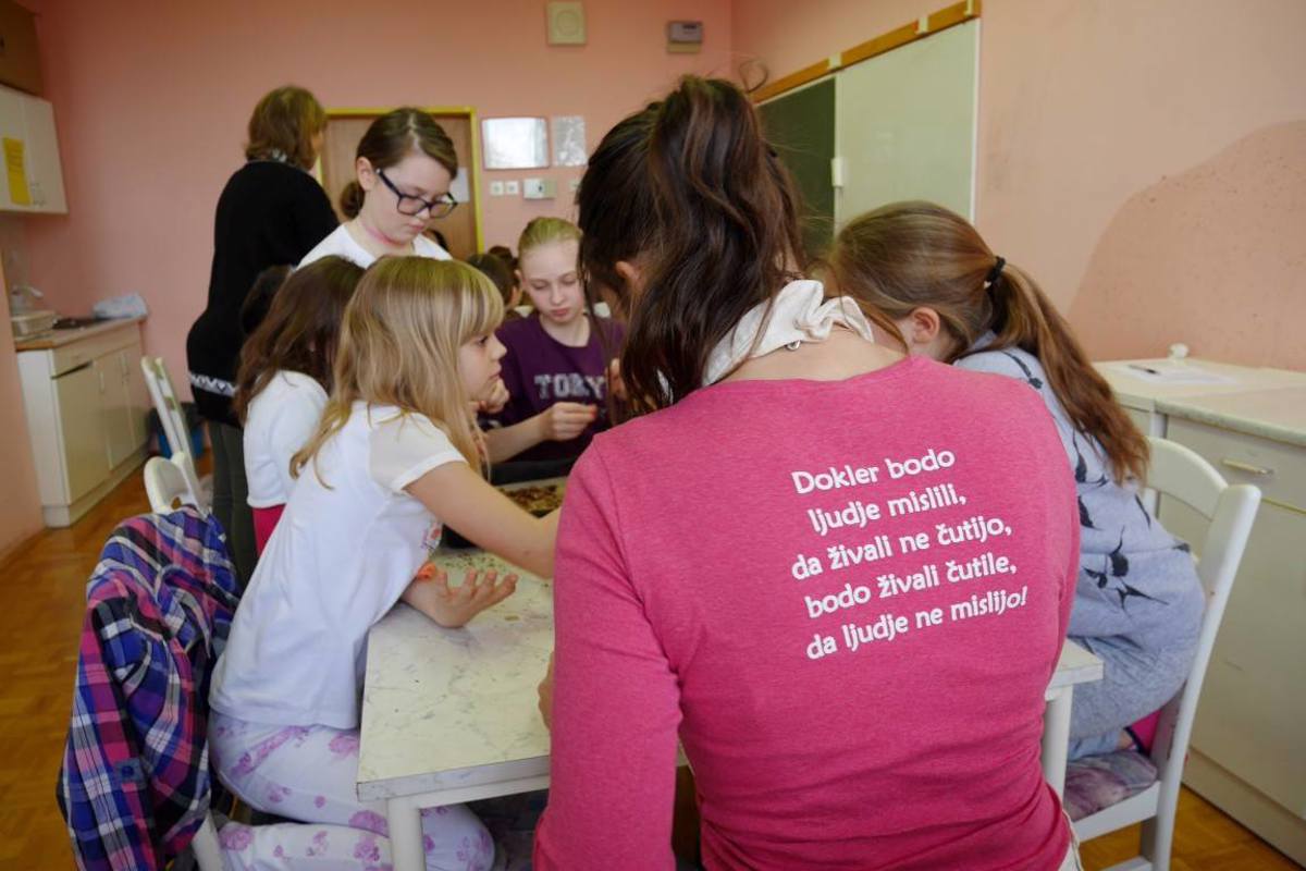 Društvo za zaščito živali Pomurja opozarja ljudi, naj ne nasedajo