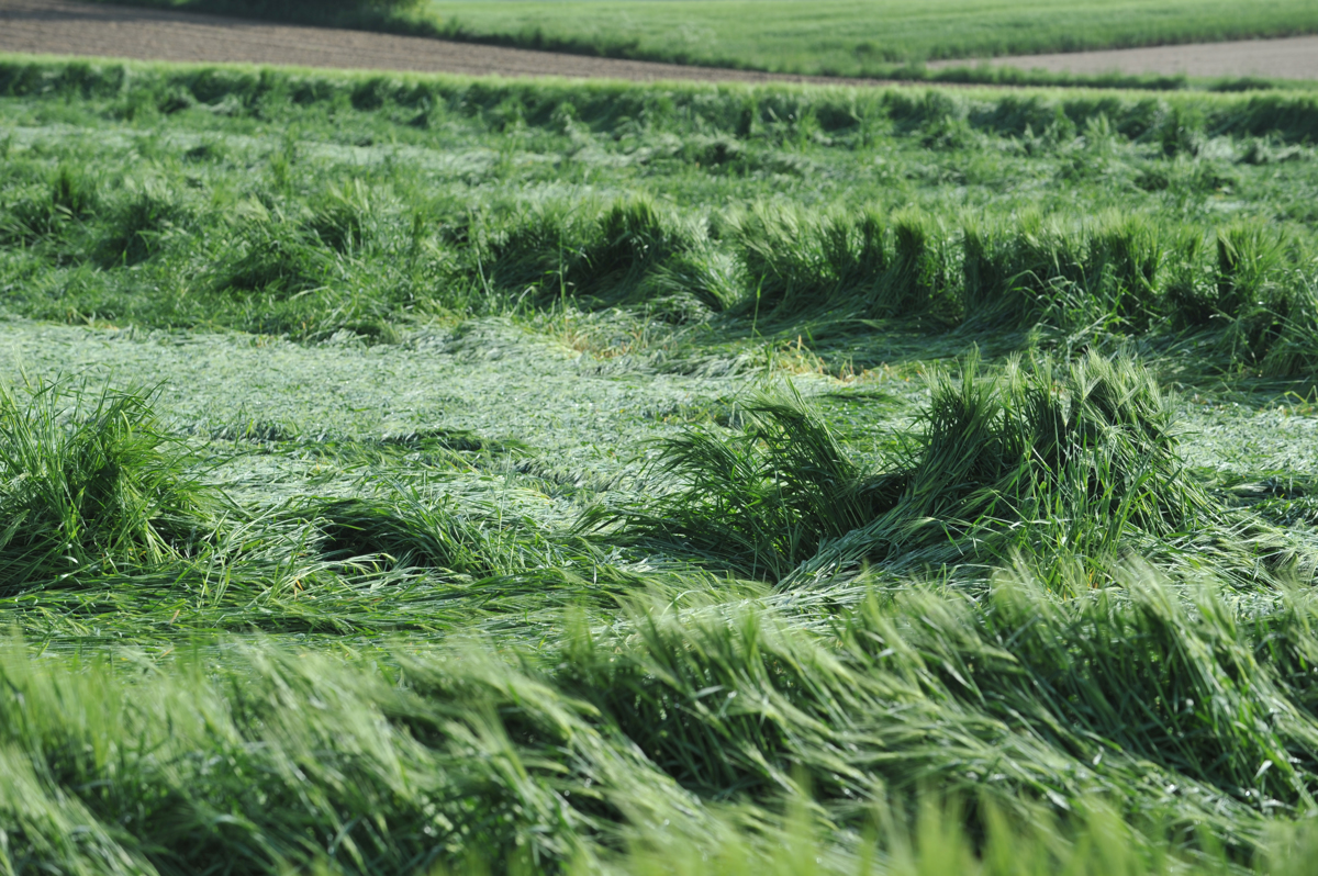 Neurje: Škoda ni tako velika, kot je kazalo sprva
 