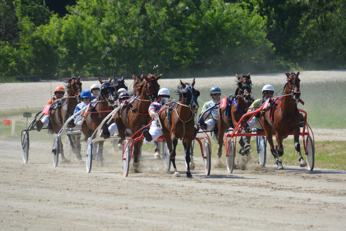 Tri zmage za ljutomerski kasaški klub videl tudi predsednik Pahor